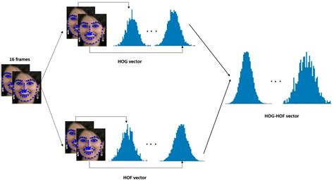 Human Emotion Recognition Based on Spatio-Temporal Facial Features ...