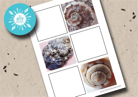 Image result for Shell Drawing Cover Work