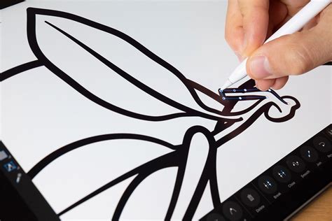 Image result for How to Create Vector Images in Procreate