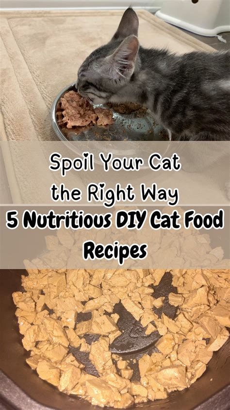 Best 13 5 Irresistible Homemade Cat Food Recipes Your Feline Will Love ...