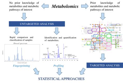 Image result for Metabolomics Tutorial