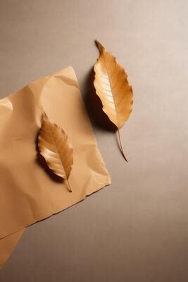 Image result for Paper Leaf