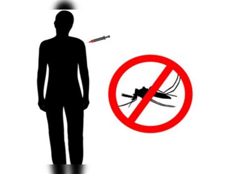 How to prevent, treat dengue - Times of India