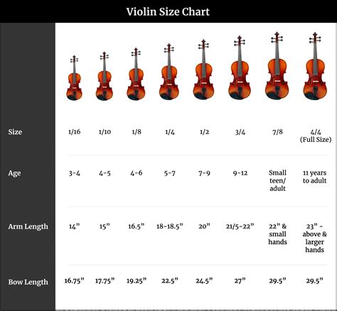 The Essential Violin Types Guide: What Are The Different Types?