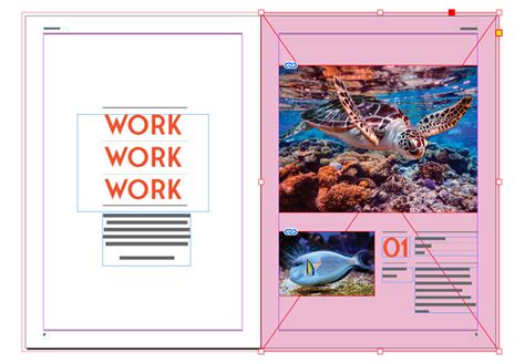 Image result for InDesign Background