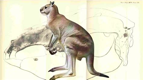 Richard Owen Father of Dinosaur Classification and Controversial Genius