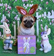 Image result for Easter Bunny Cartoon Art