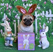 Image result for Easter Bunny Pattern