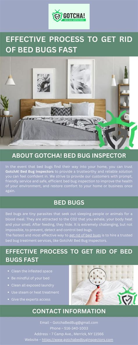 Are Bed Bugs Fast Moving at Richard Sayles blog