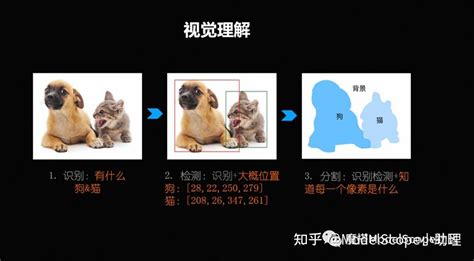 Ai 模型视觉化 的图像结果