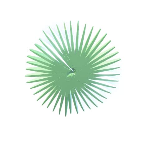 p3d.in - F CALCIO ASPA ESPICULAR