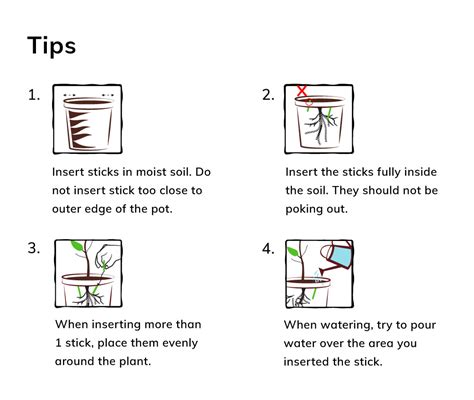 Why and How To Use Fertilizer Sticks For Houseplants? – Lazy Gardener ...