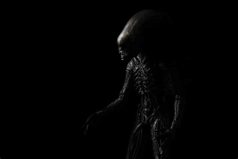 Image result for Alien Races List