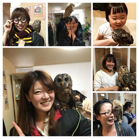 FUWAMOFU CLUB (2026) All You Need to Know BEFORE You Go (with Photos ...