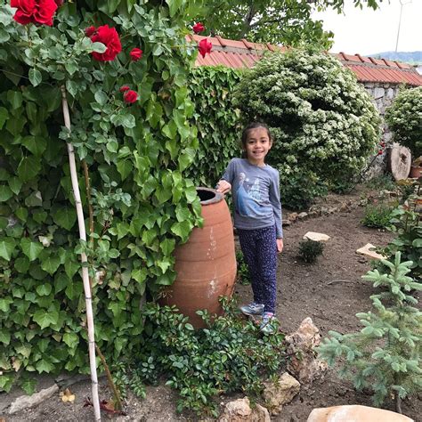 HOTEL BAYKAL (Bogazkale, Corum Province) - Hotel Reviews, Photos, Rate ...