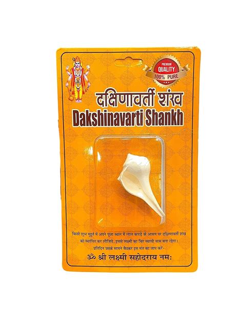 happiness hub Dakshinavarti Shankh Original Pure White Small Size ...