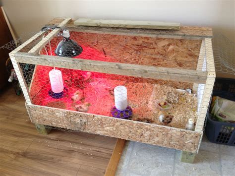 Image result for Homemade Quail Brooder Tutorial
