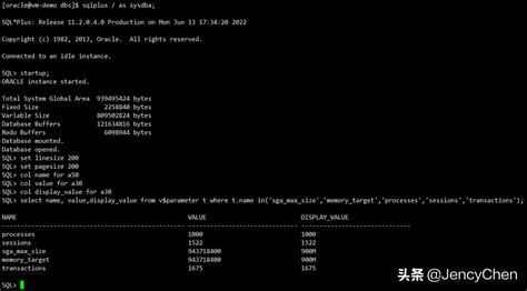 oracle 数据库体系结构详解_oracle体系结构详解-CSDN博客