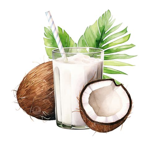 Coconut Juice Drawing at Alyssa Geddes blog
