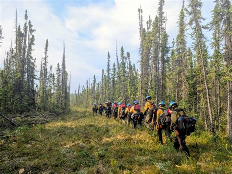 #2025 Alaska Fire Season – Alaska Wildland Fire Information
