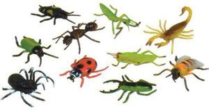 ONLINE EDU TOYS ANT WORLD KIT - EDU TOYS ANT WORLD KIT . shop for ...