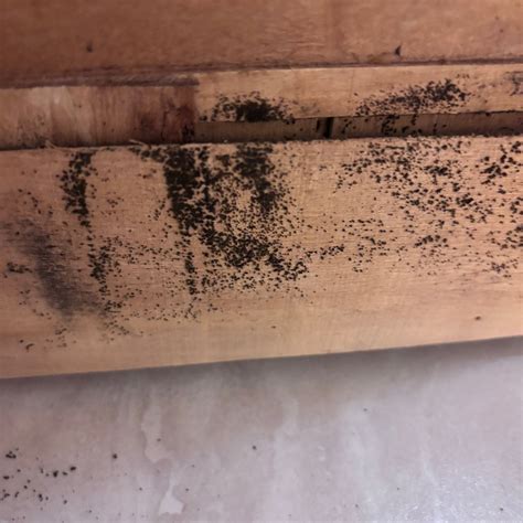 FAJARDO INN RESORT - Hotel Reviews, Photos, Rate Comparison - Tripadvisor