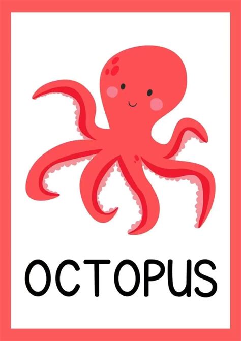 Sea Flashcard 的图像结果