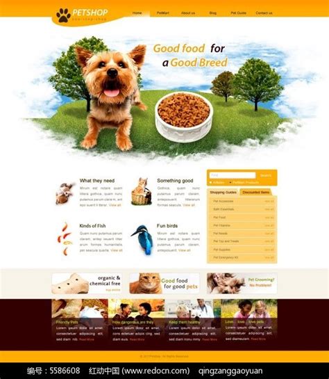 宠物商店网站源文件设计PSD素材免费下载_红动网