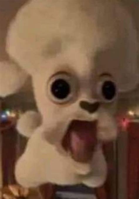 Image result for Cursed Toad Meme