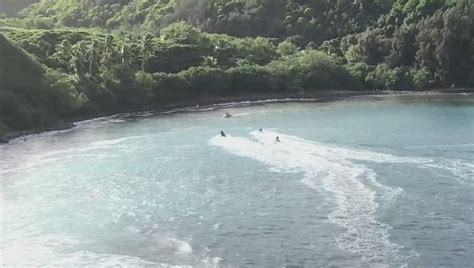 Surfer dies after shark attack in Maui, official says | FOX 11 Los Angeles