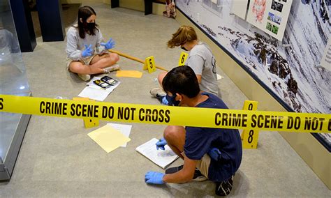 Forensic Science Classification of Crime Scenes 的图像结果