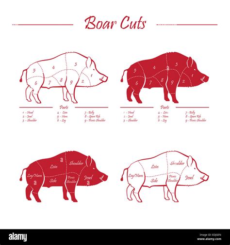 How To Cut Up Hog Meat at Layla Helms blog