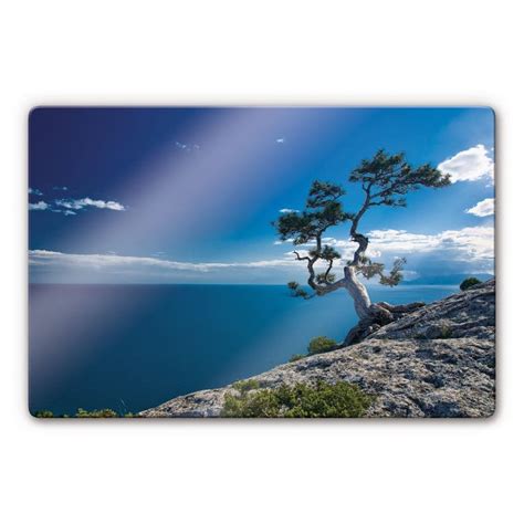 Sea and Tree Glass art | wall-art.com