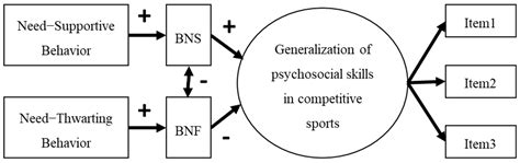 Generalization of Psychosocial Skills to Life Skills in Collegiate Athletes