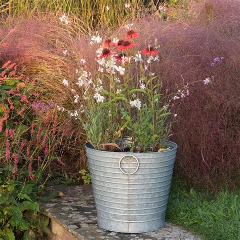 Buy Ribbed galvanised metal tub: Delivery by Waitrose Garden