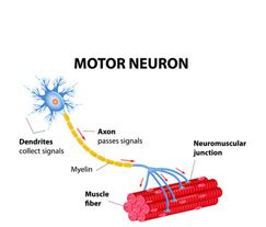 Treatment - Aarogya Path Care