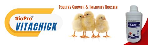Bio Pro VITACHICK- Growth Booster, Immunity Booster for Poultry &Cattle ...