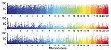 describe two modification anomalies that affect project databases describe dna dials that gene describe two modification anomalies that affect project databases describe dna dials that gene