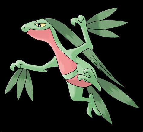 Image result for Treecko Last Evolution