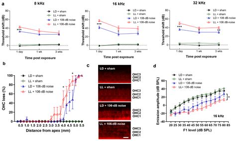 Constant Light Dysregulates Cochlear Circadian Clock and Exacerbates ...