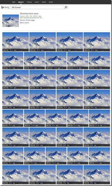 Bing Image Match Search 的图像结果