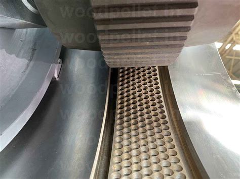 SERVODAY: Your Ultimate Pelleting Partner for Wood and Biomass with ...