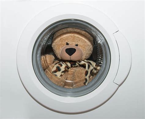 Image result for Bear Washing Machine Prank