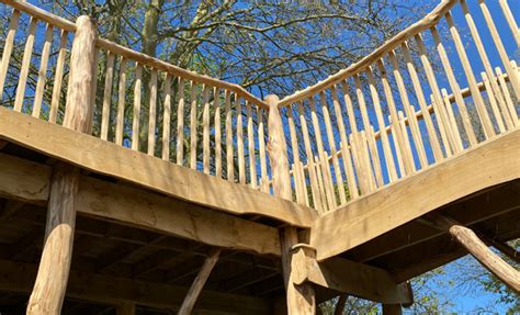 Treehouse 的图像结果