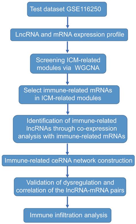 Bioinformatics and Experimental Analyses Reveal Immune-Related LncRNA ...