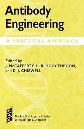 Buy Antibody Engineering: A Practical Approach: 169 (Practical Approach ...