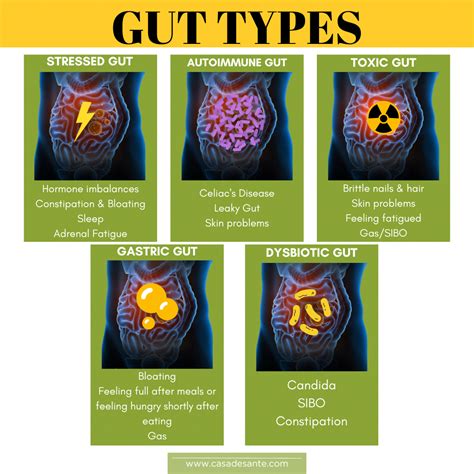 Poop Types 的图像结果