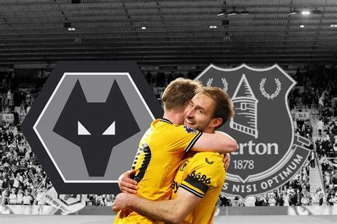 Image result for Wolves History