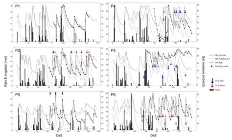 Potential for the Detection of Irrigation Events on Maize Plots Using ...