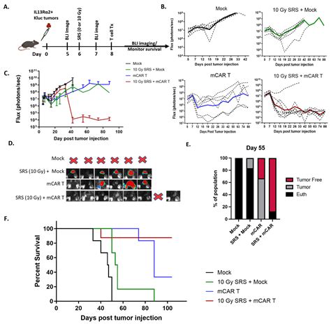Evaluation of the Immunomodulatory Effects of Radiation for Chimeric ...